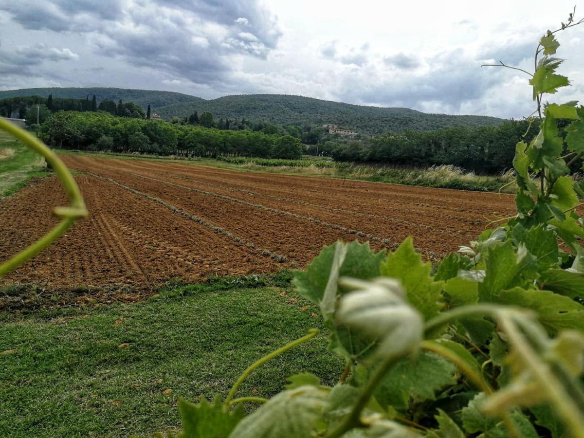 Claudia Vacanza Toscana - Appartamento Nocciolo- 10 Min Da Siena Malignano ภายนอก รูปภาพ