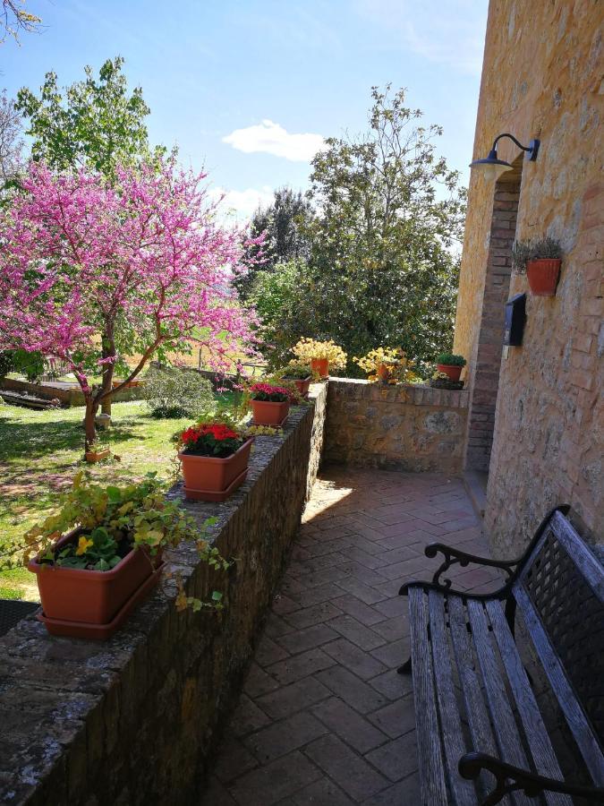 Claudia Vacanza Toscana - Appartamento Nocciolo- 10 Min Da Siena Malignano ภายนอก รูปภาพ