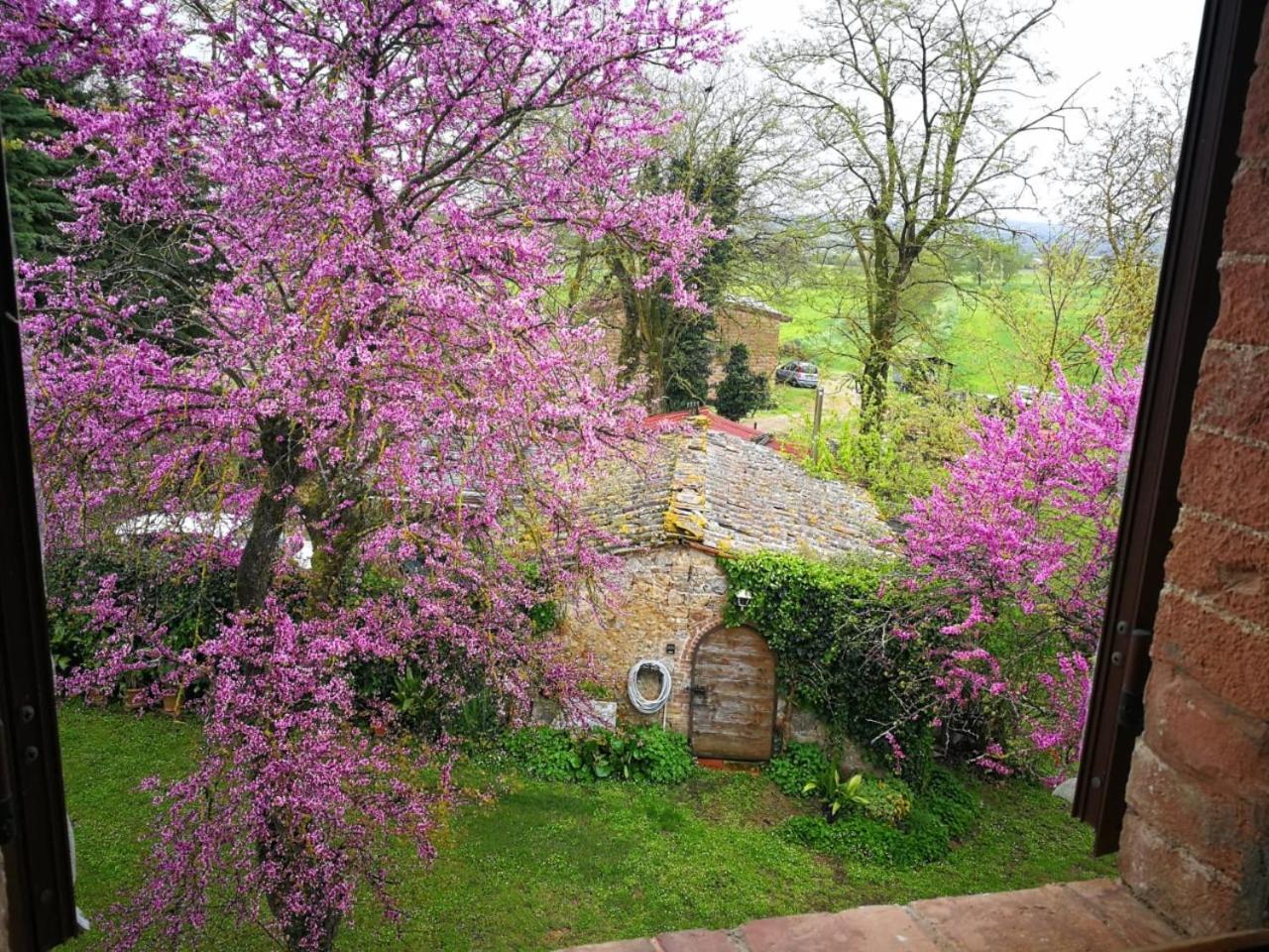 Claudia Vacanza Toscana - Appartamento Nocciolo- 10 Min Da Siena Malignano ภายนอก รูปภาพ