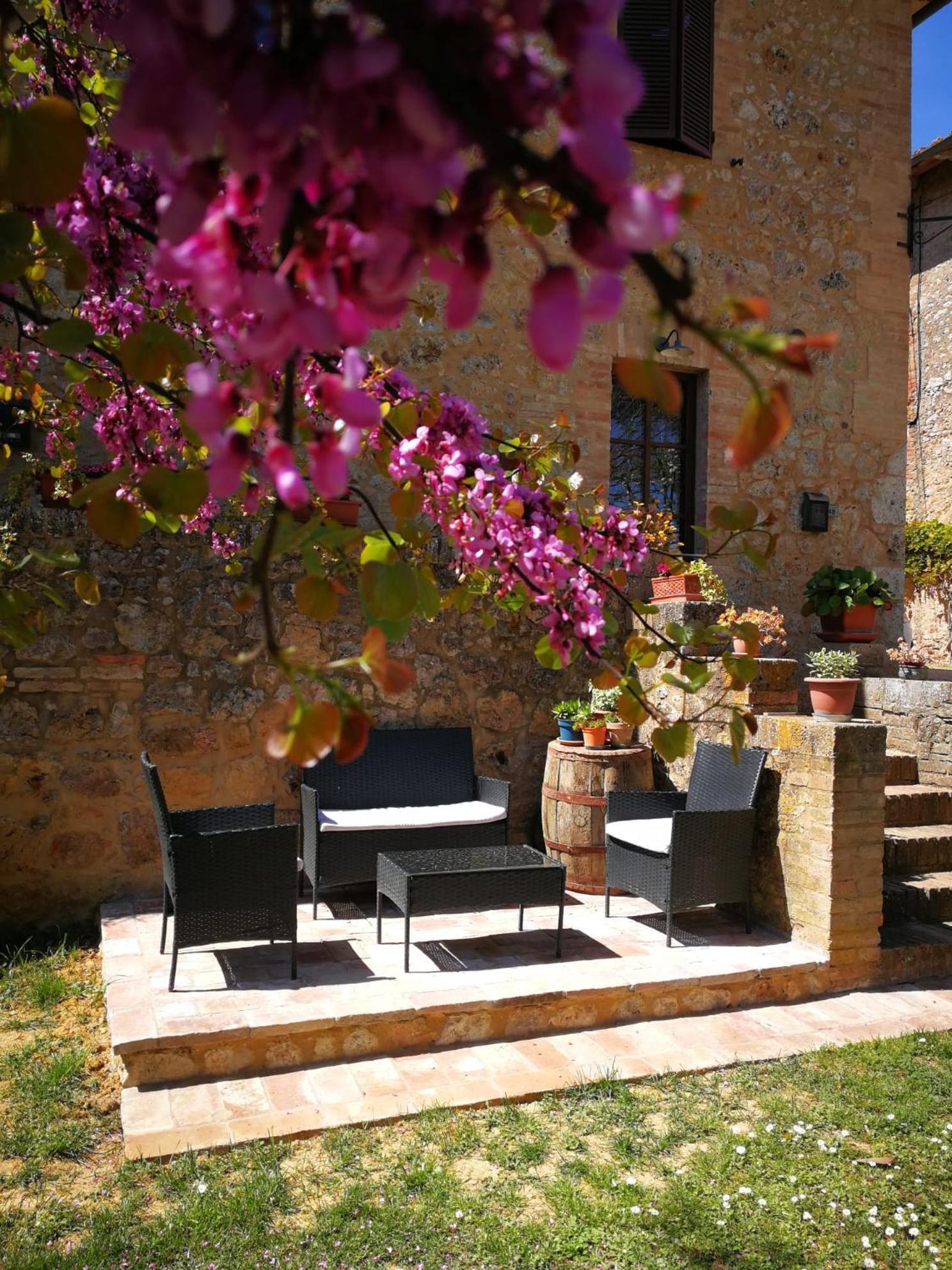 Claudia Vacanza Toscana - Appartamento Nocciolo- 10 Min Da Siena Malignano ภายนอก รูปภาพ